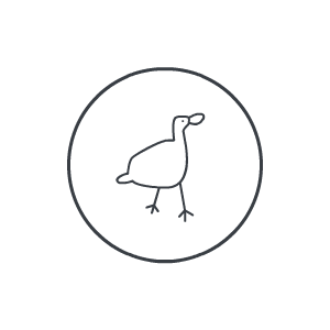 The Baker’s Duck